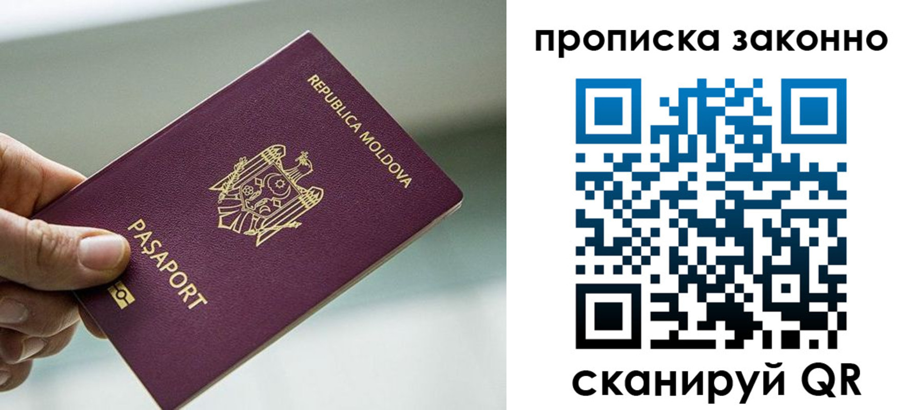 временная регистрация недорого в Сельцо